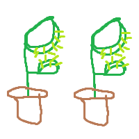 green (top halves), brown (bottom halves)