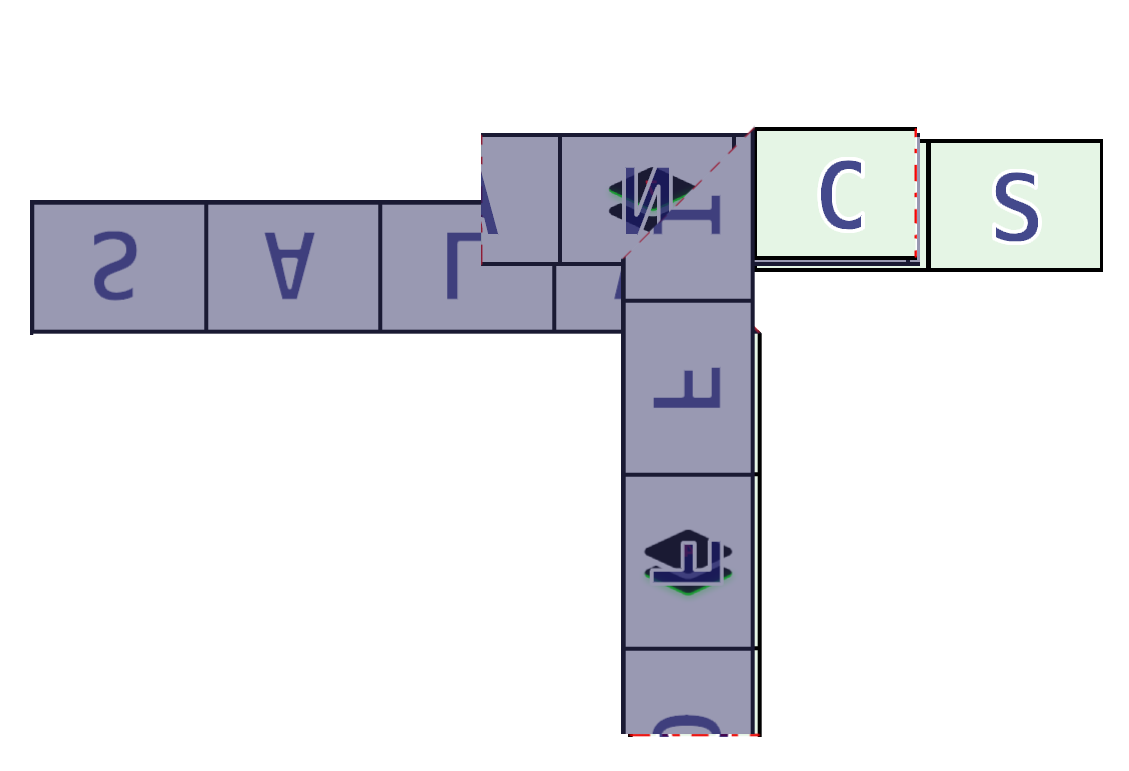The green strip with SALVIA OFFICINALIS folded with the green side on top. The letters CS are visible in on the green side. All other parts of the strip are darkened and wouldn't be visible to us.