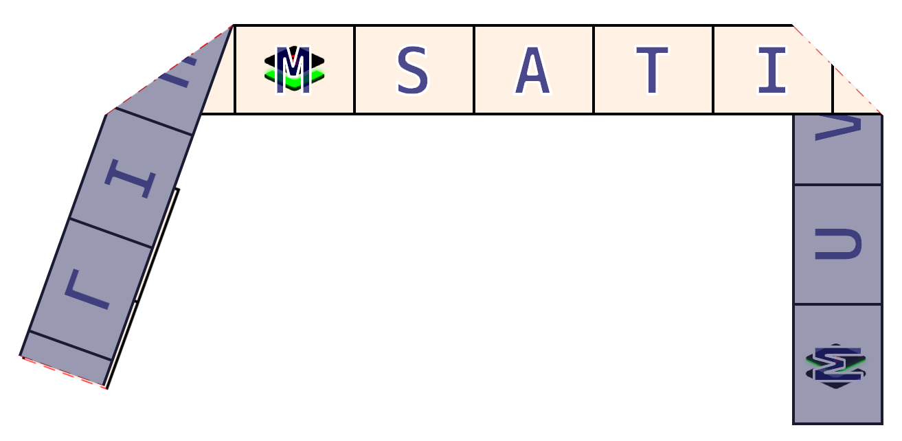 The orange strip with ALLIUM SATIVUM folded with the orange side on top. The letters MSATI are visible in on the orange side. All other parts of the strip are darkened and wouldn't be visible to us.